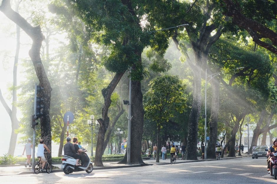 Morning sunlight through the trees on a broad street in Hoan Kiem, central Hanoi, with motorbikes and cyclists passing